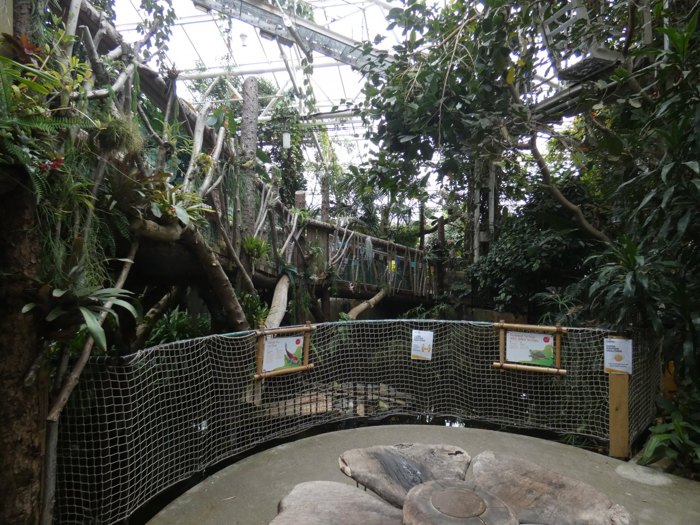 View across greenhouse (Plantasia Swansea)
