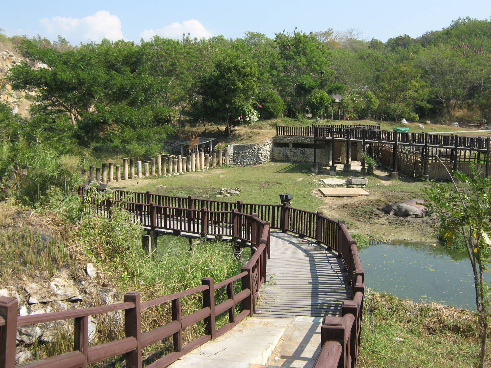 view across hippo enclosures
