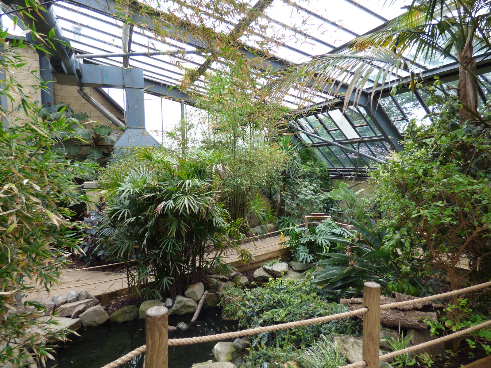 View across Lorikeet Lookout