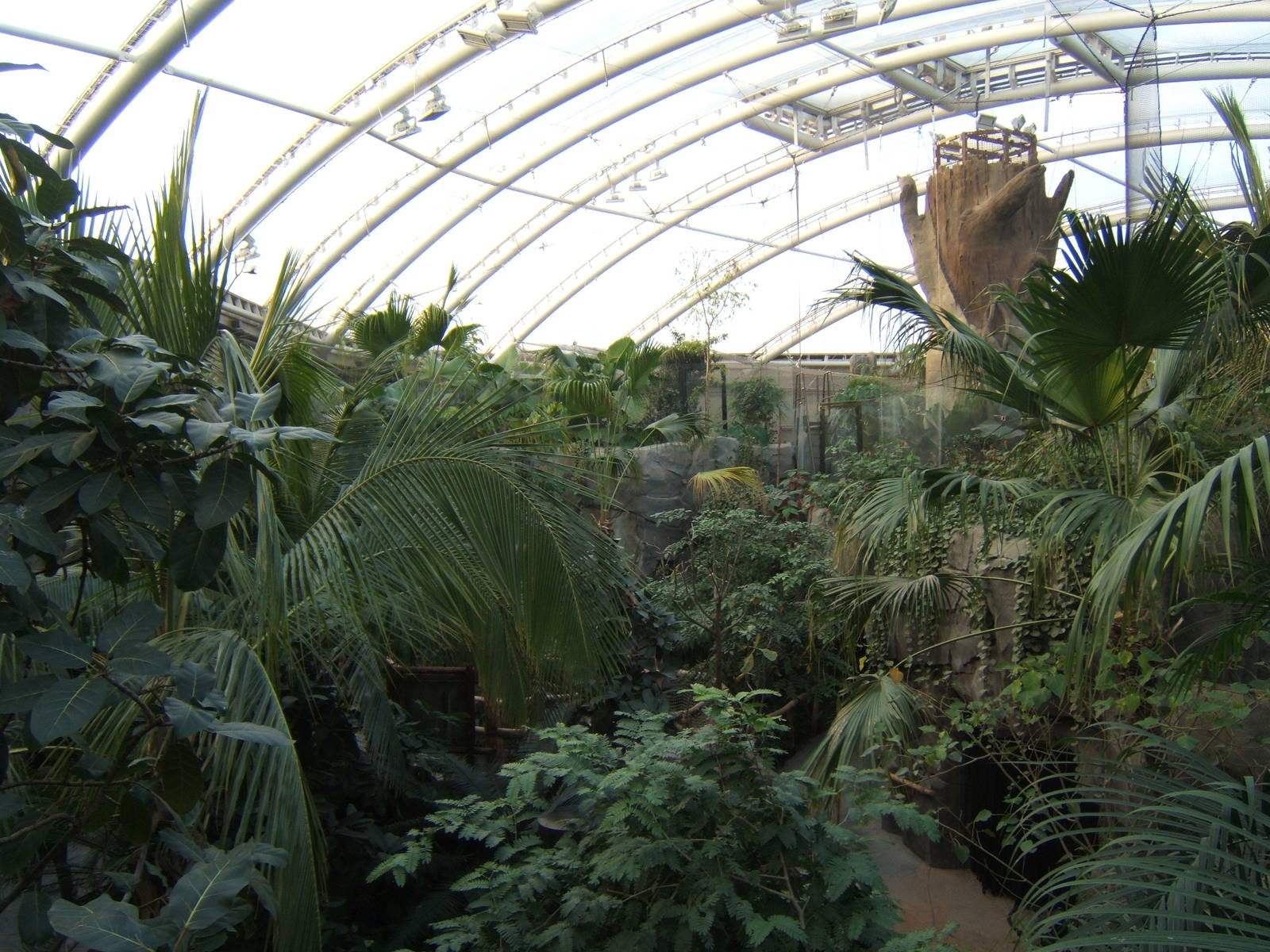 View across Monsoon Forest