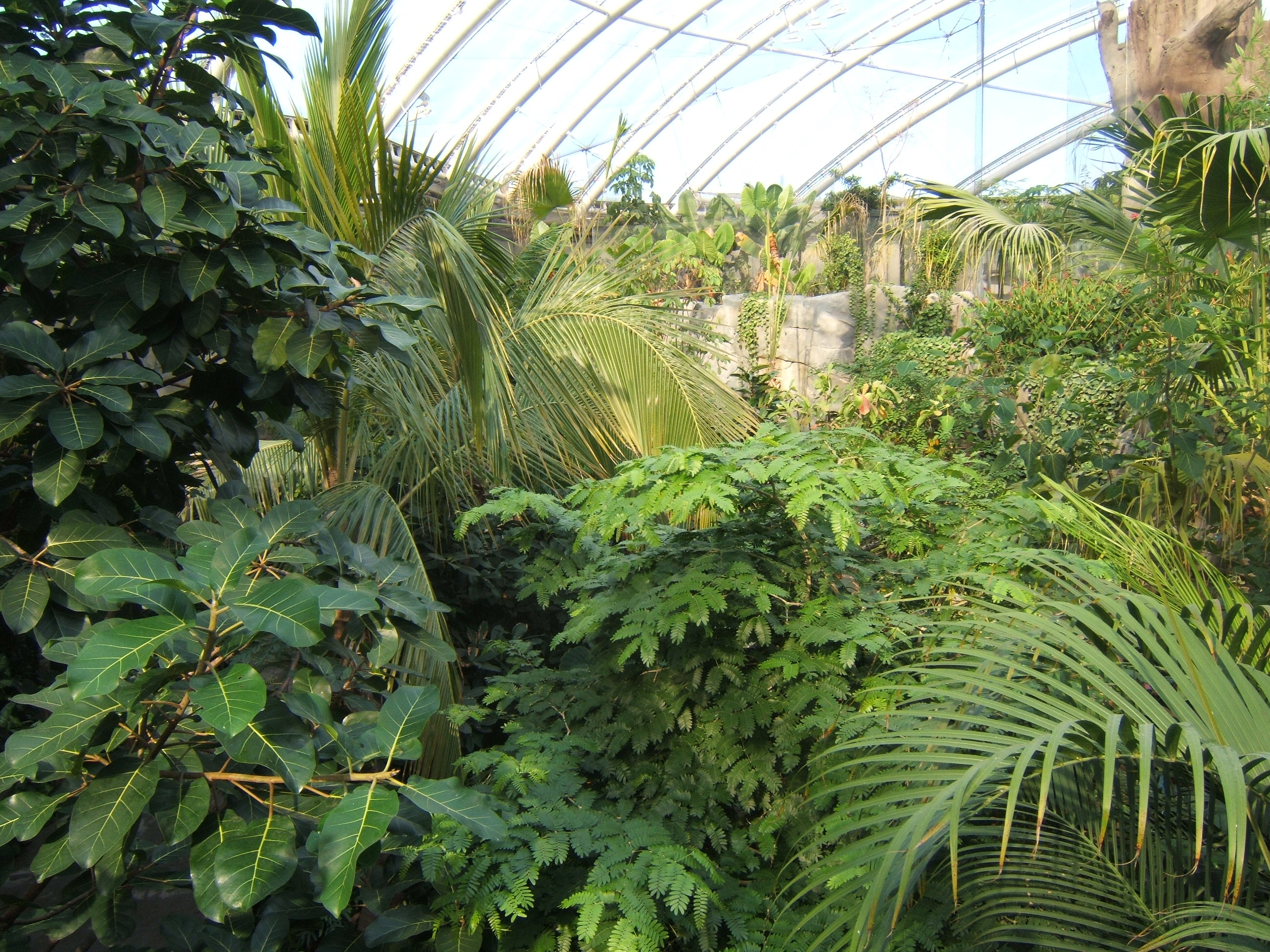 View across Monsoon Forest