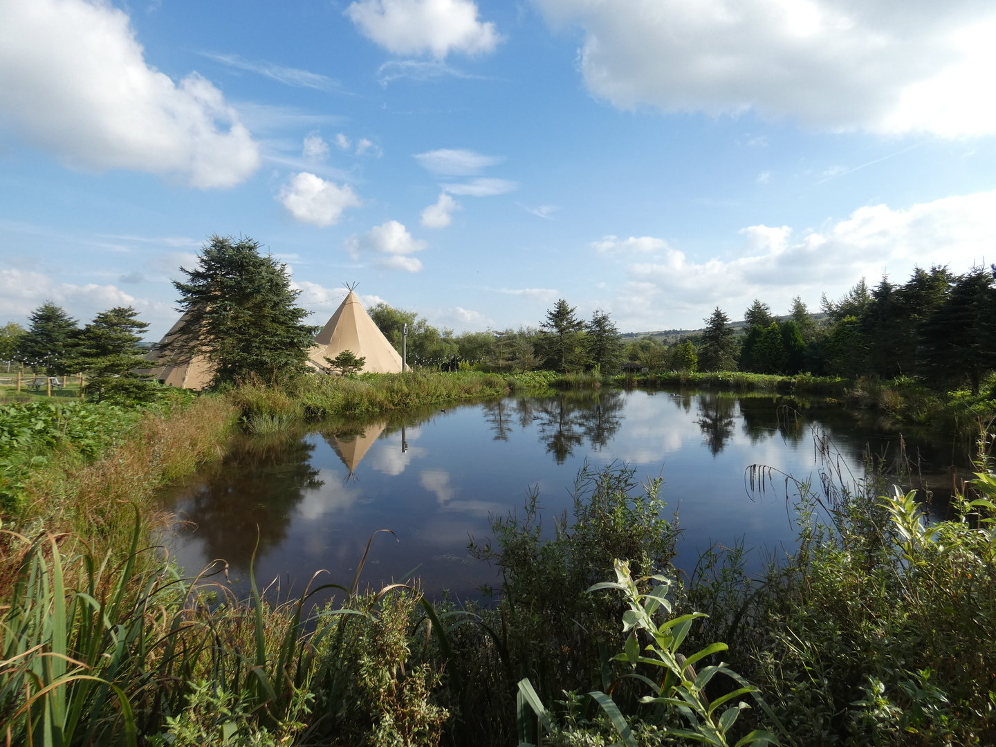 View across Nature walk