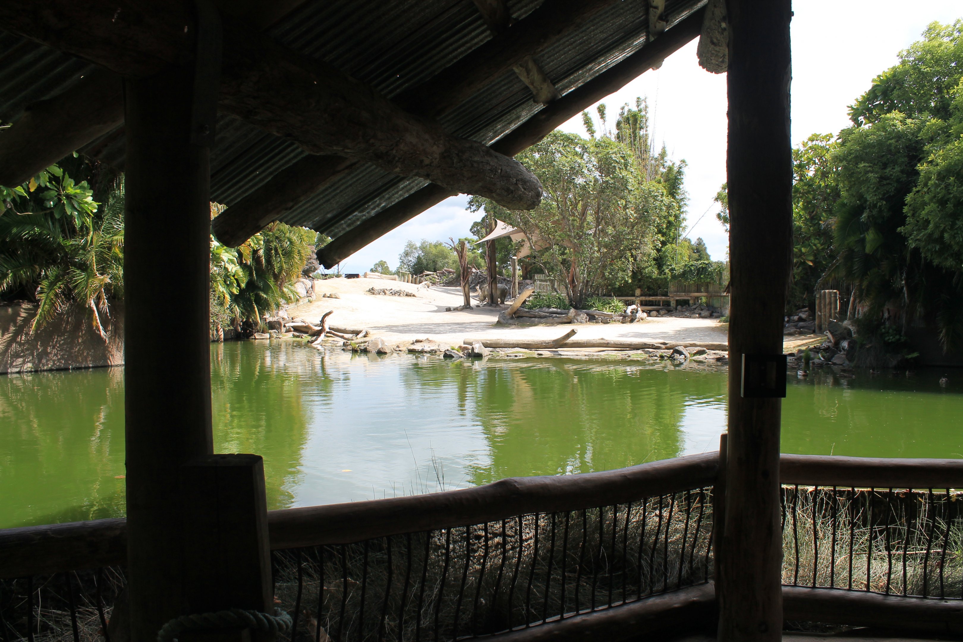 view across pool to rhino enclosure