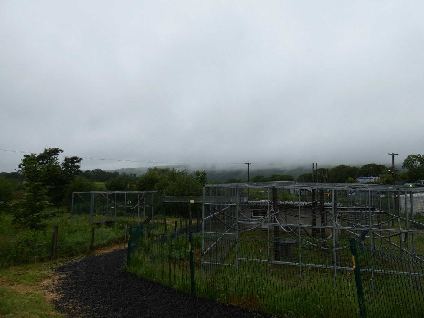 View across primate area