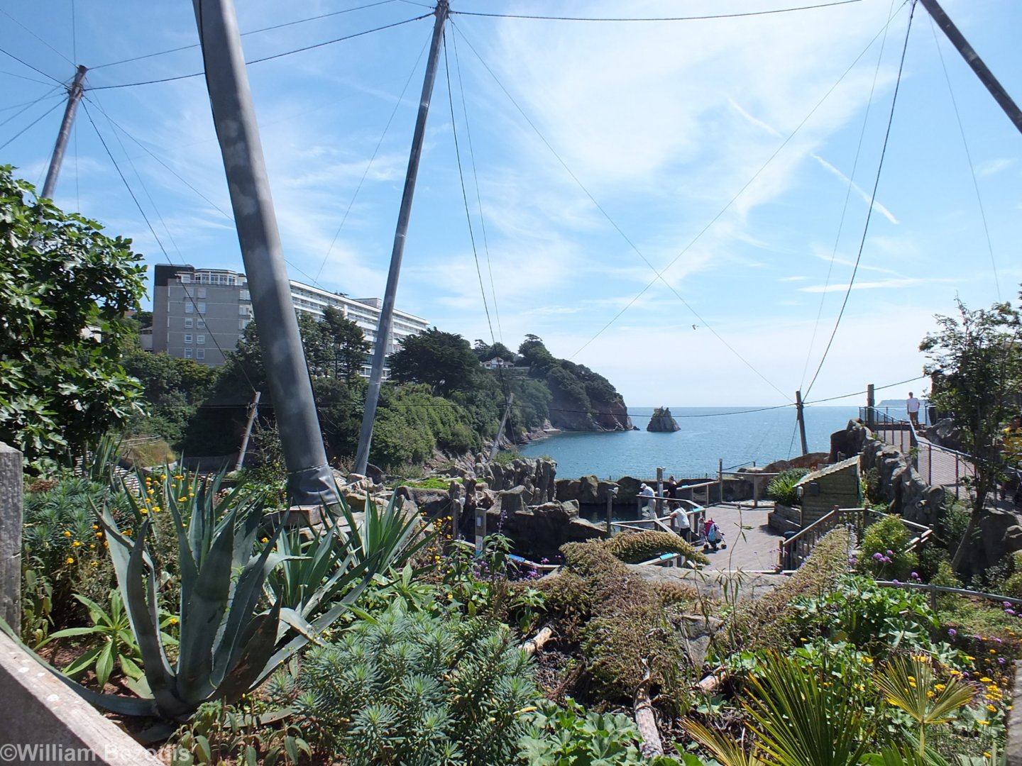View Across Sea Lion Enclosures to Tor Bay Beyond