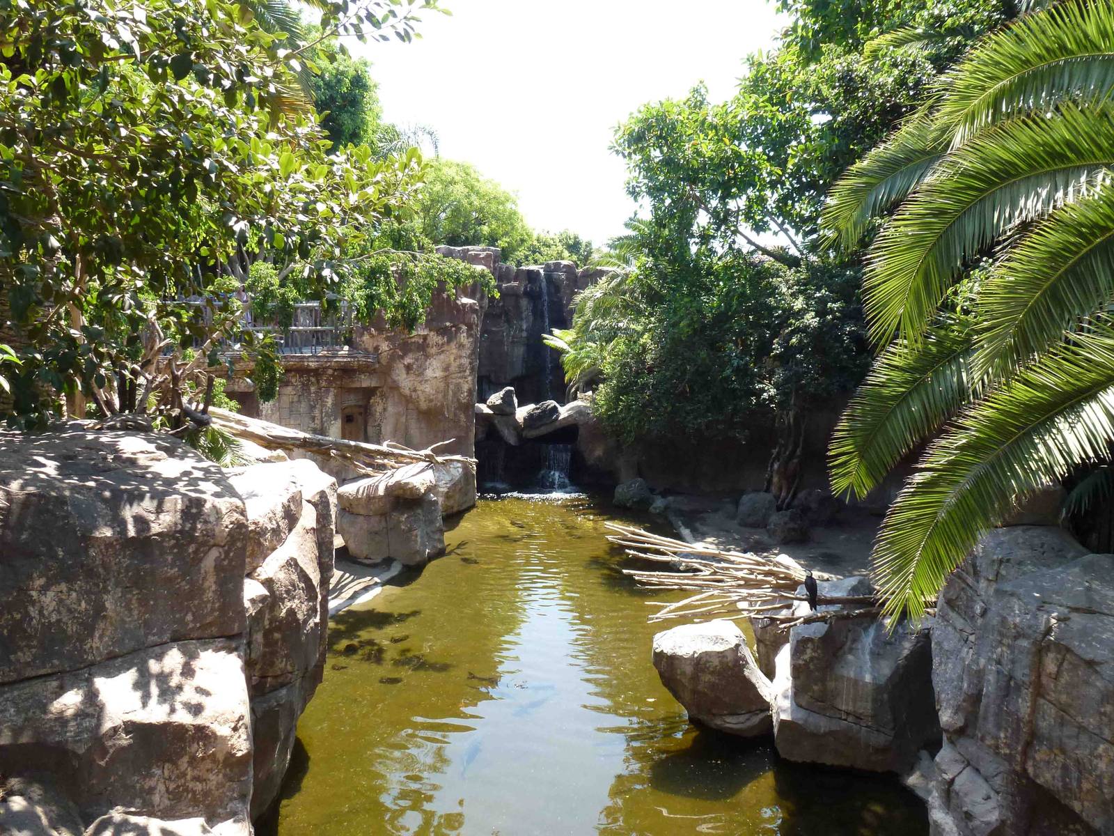View across tapir enclosure, July 2013.