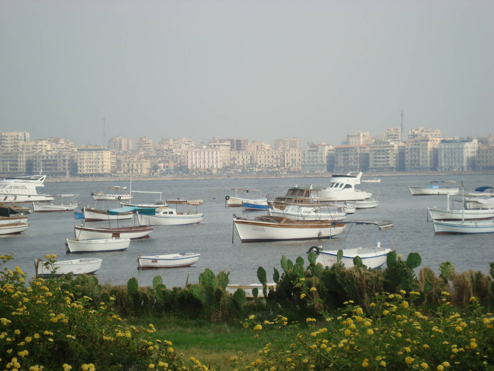 View across the harbour