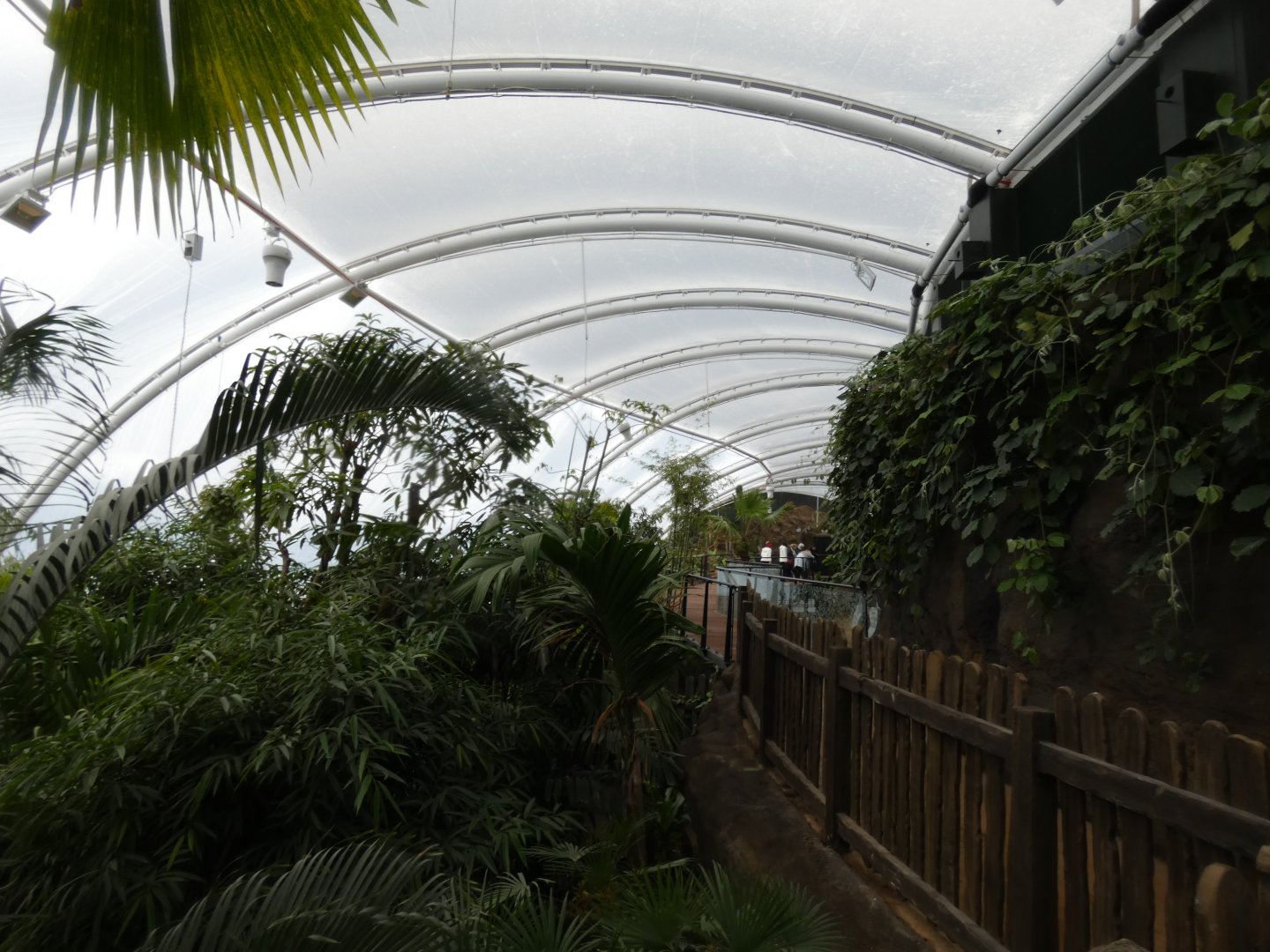 View across the new Tropical House