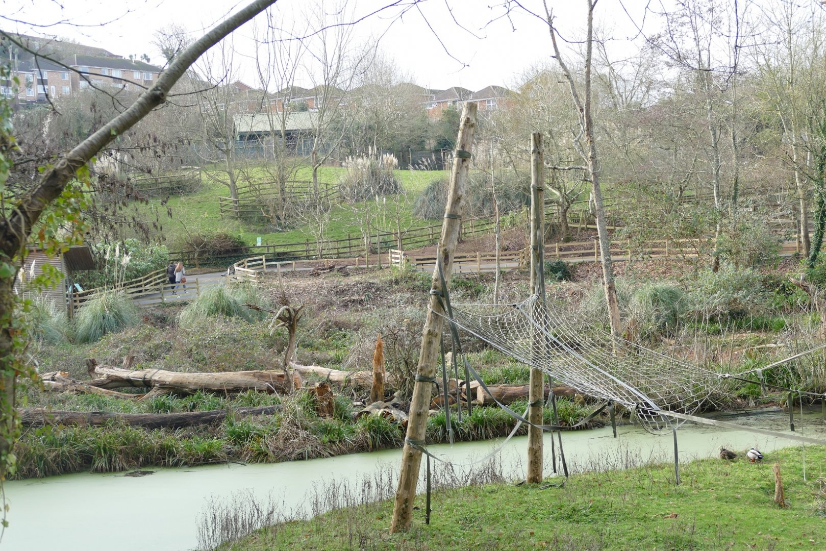 View across the orang islands, January 2019