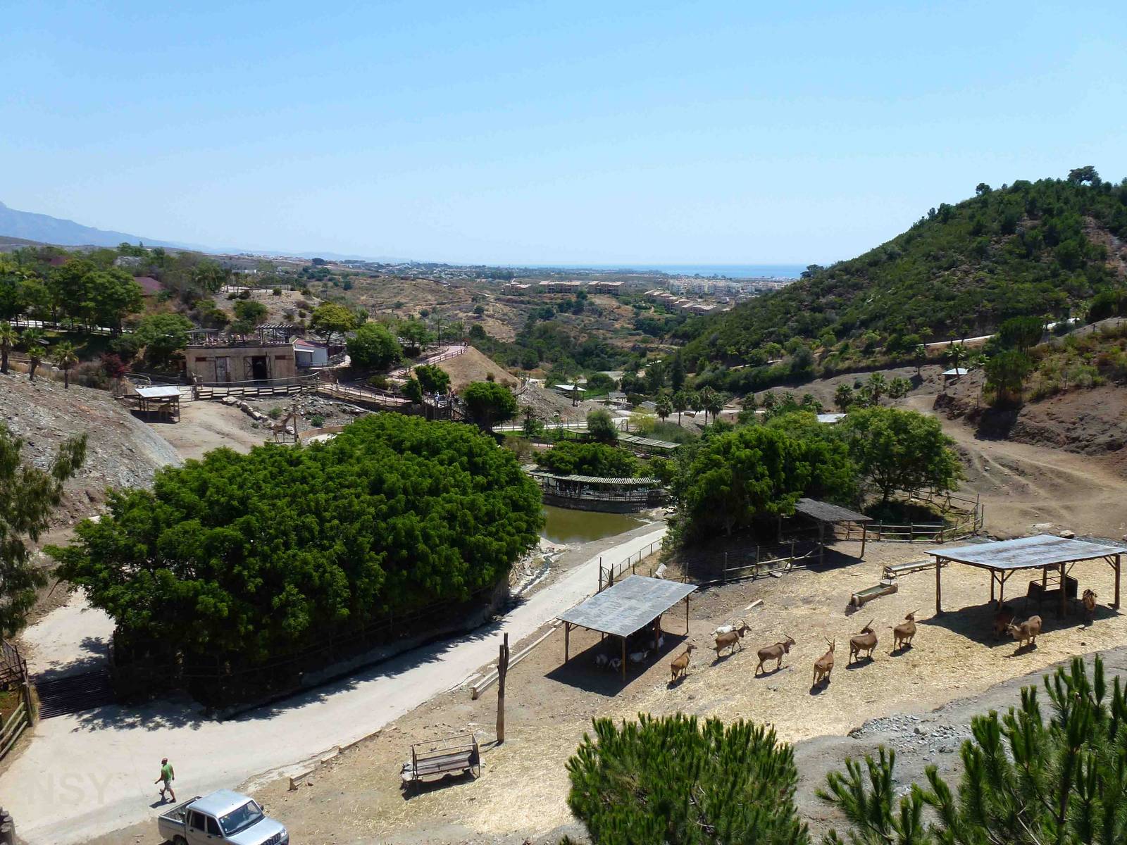 View across the safari area, July 2013.