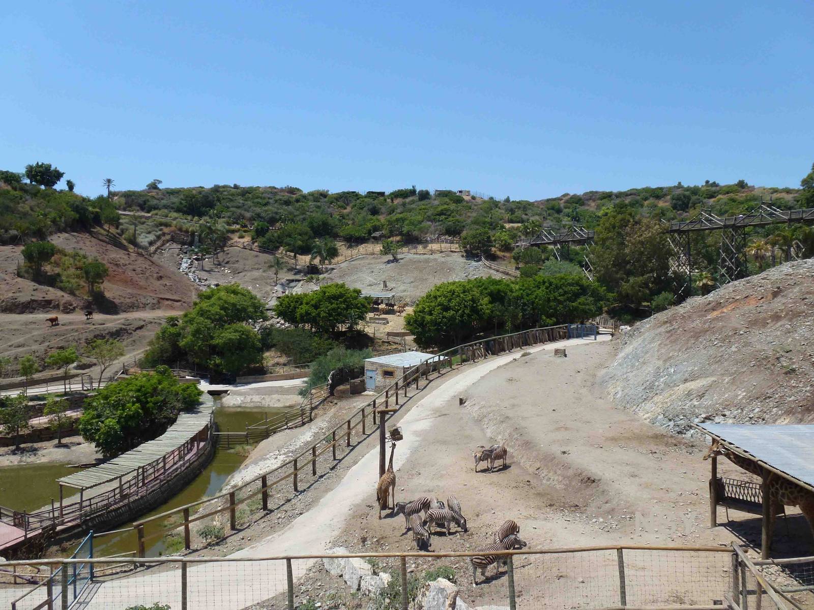 View across the Safari paddocks, July 2013.