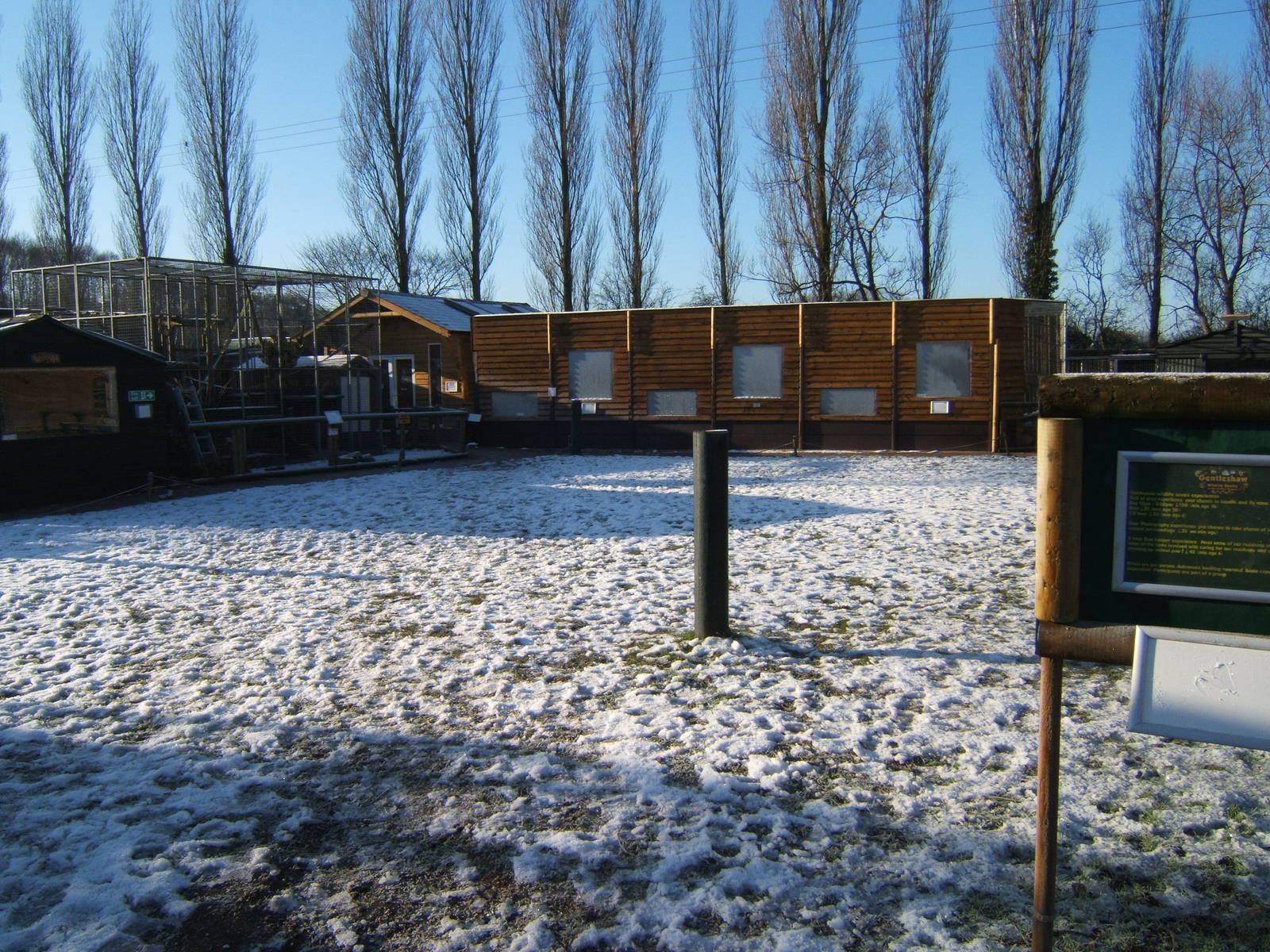 View across the site to the New Guinea Singing Dog and Wolf Hybrid enclosur