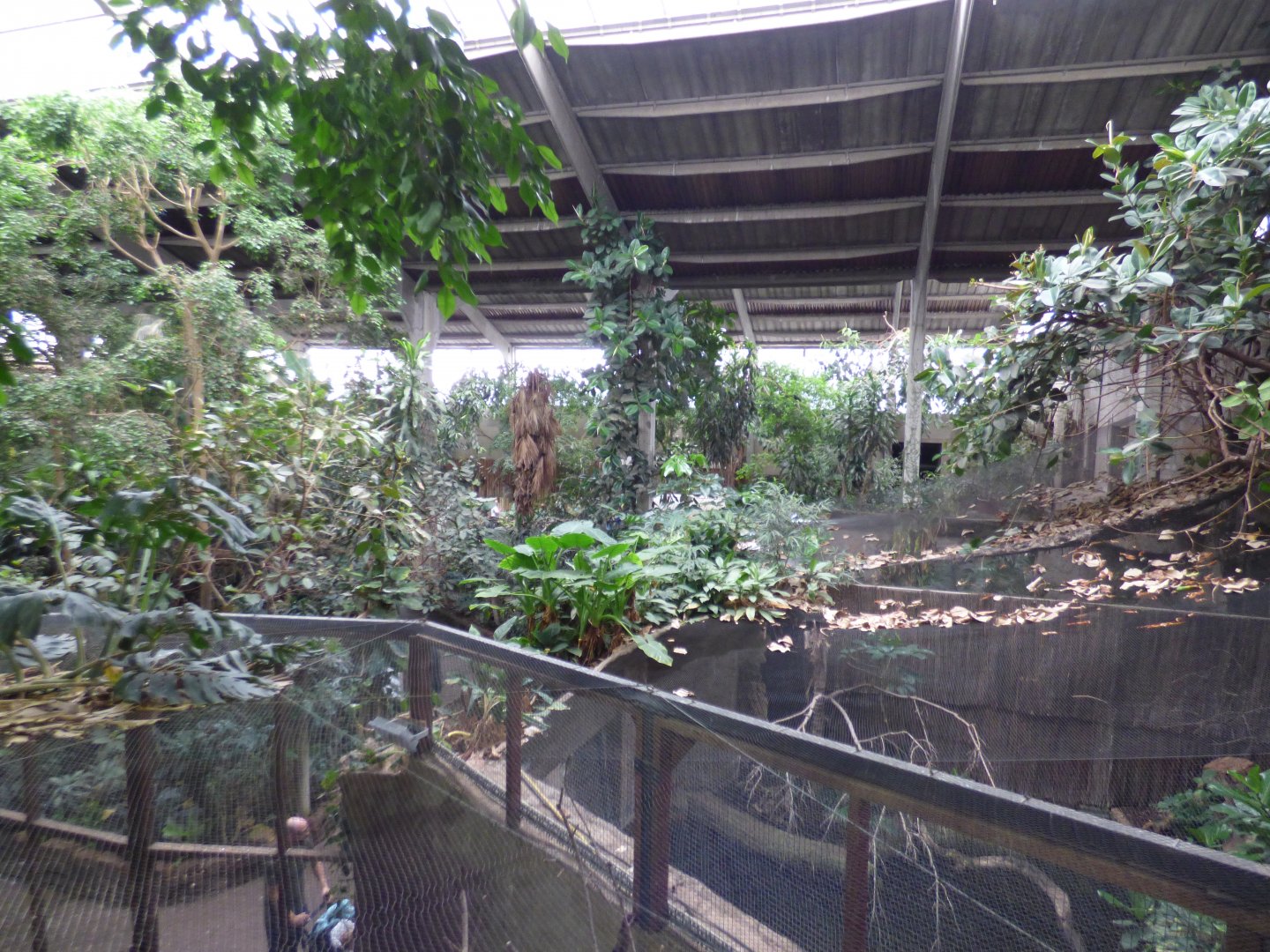 View across the Tropical Realm