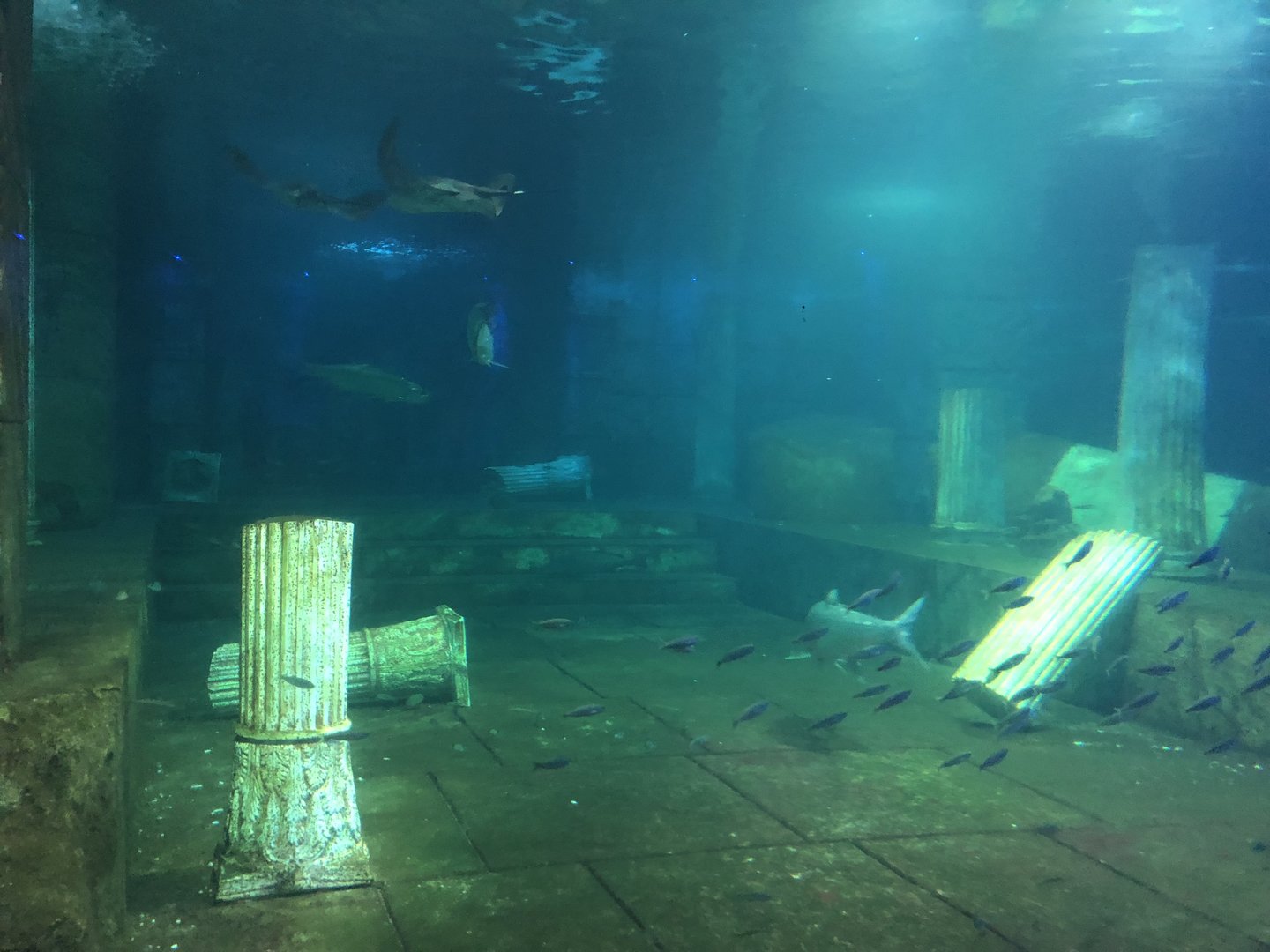 View Across the Viewing Bleachers at Aqua Vega