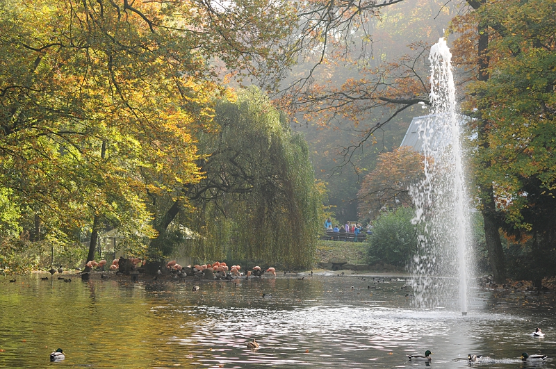 View across the waterfowl lake at Dortmund