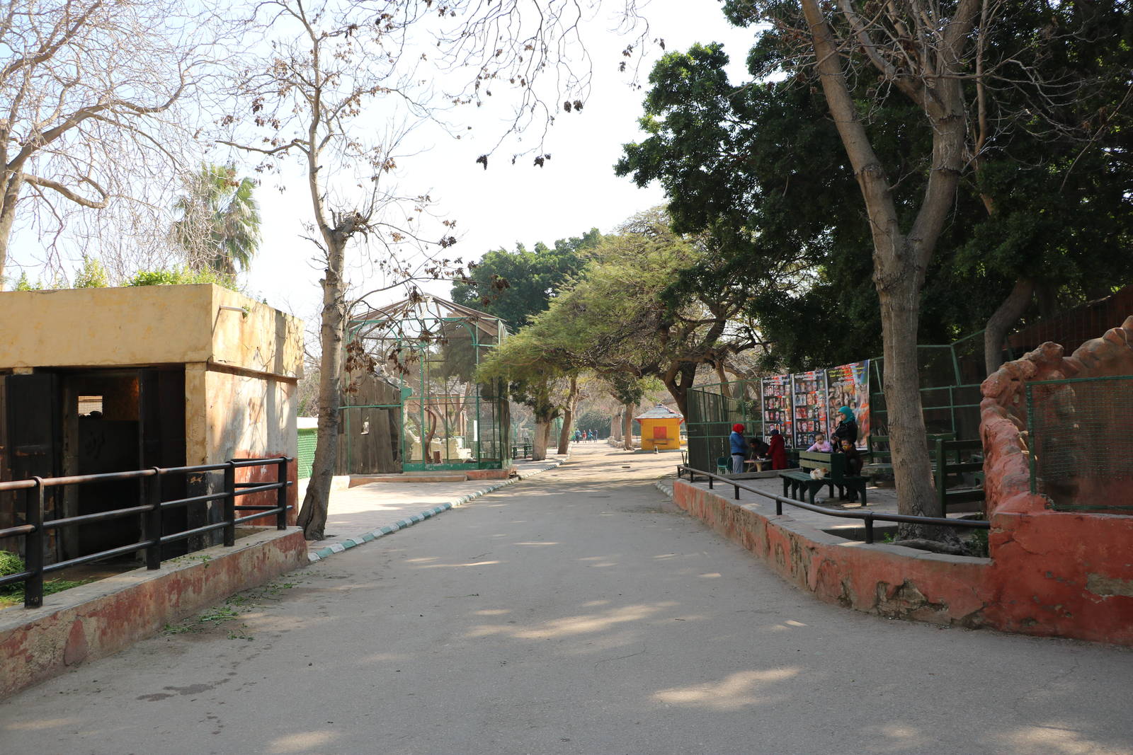 View across the zoo, February 2016