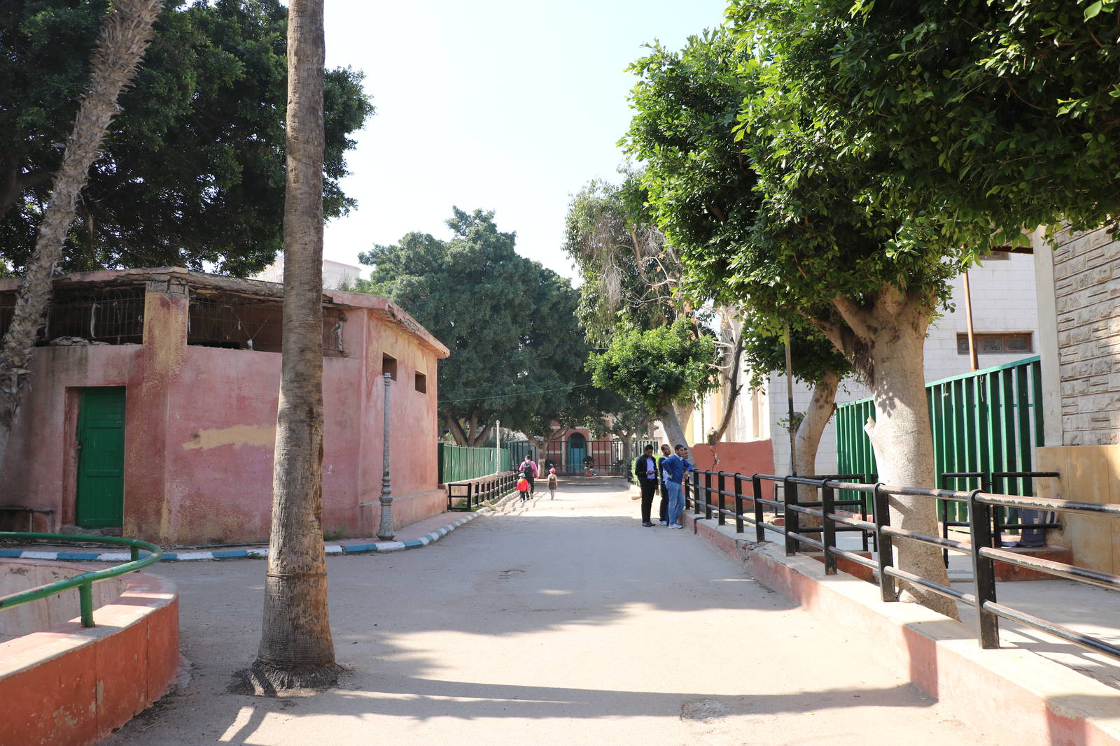 View across the zoo, February 2016