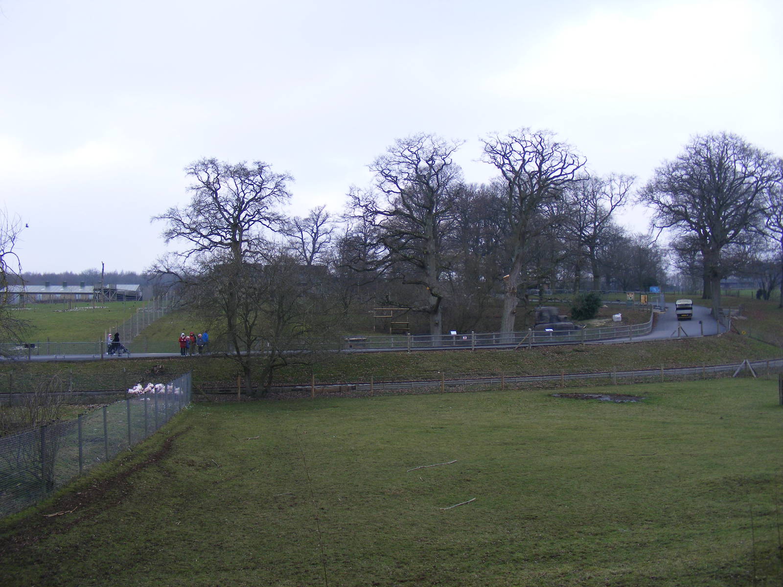 View across to cheetah enclosure at Marwell Wildlife, 29 January 2011