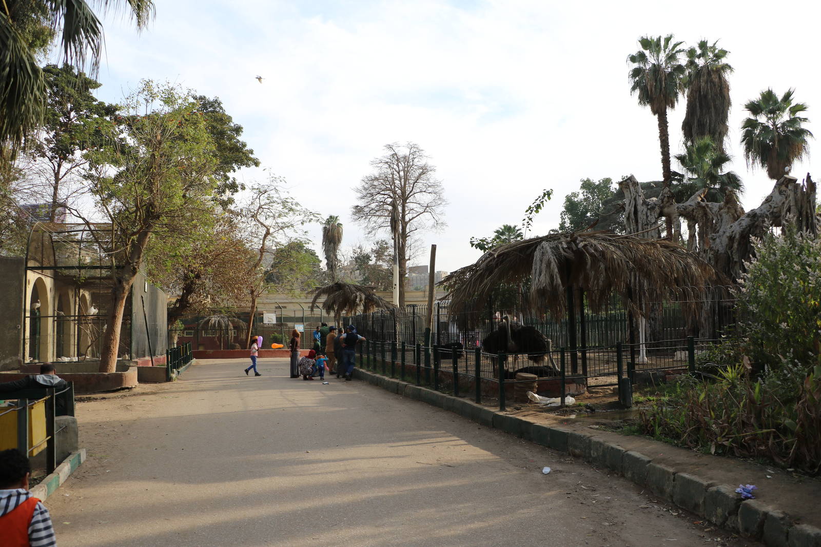 View across to cheetah enclosure, February 2016