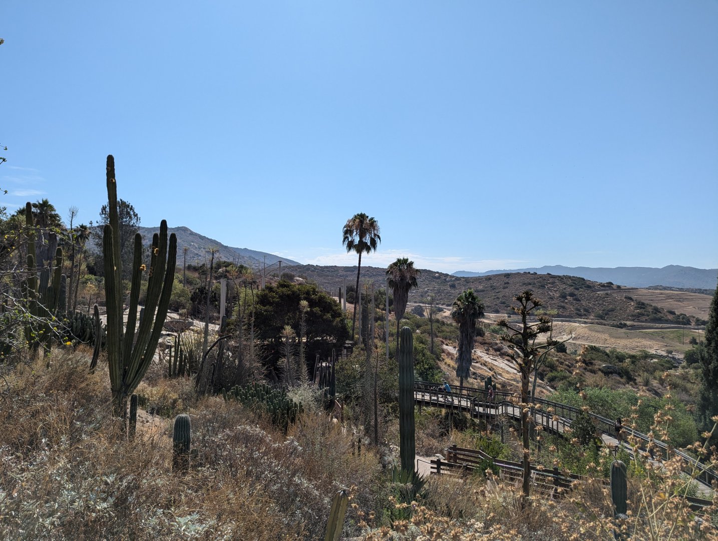 View Across to Condor Aviary and Asian Savannah/African Plains Beyond