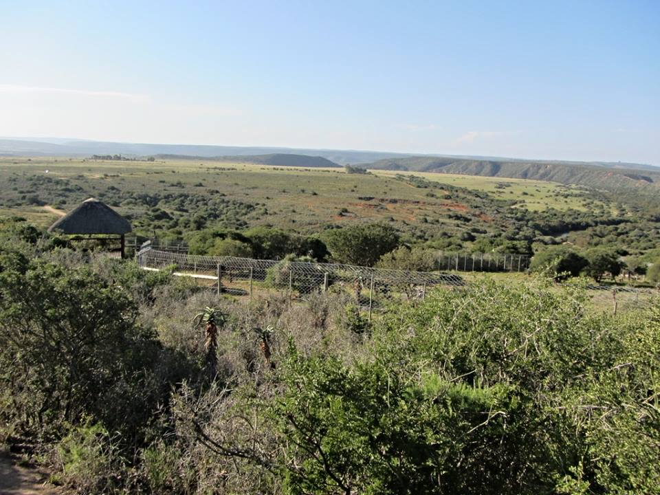 View Across to Shamwari Private Game Reserve