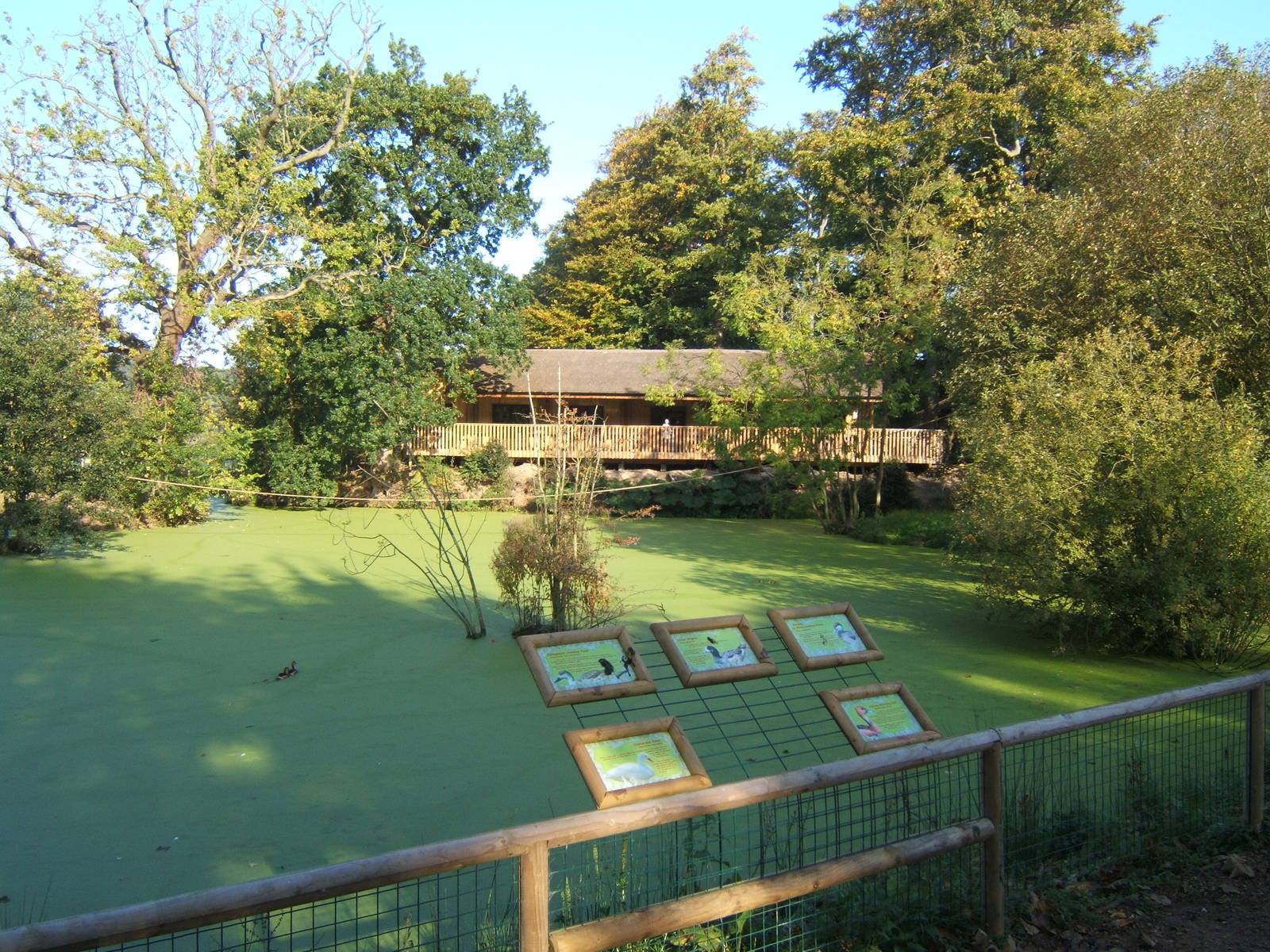 View across to the Main Building