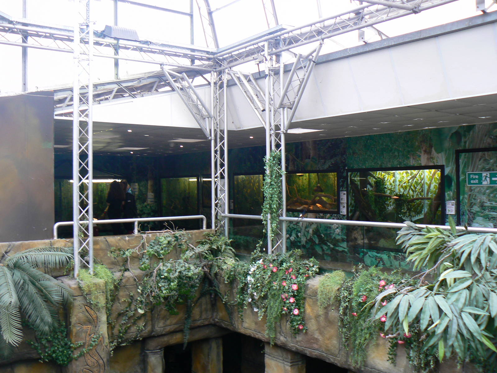 View Across to the Reptile and Stick Insect Area - 21 May 2016