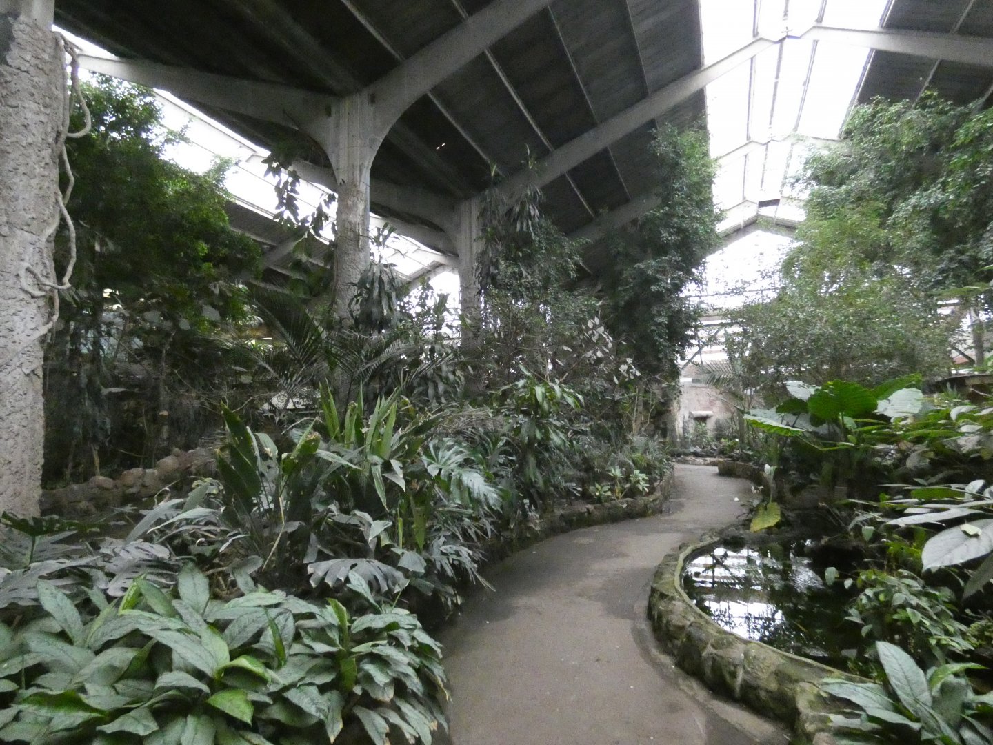 View across Tropical Realm