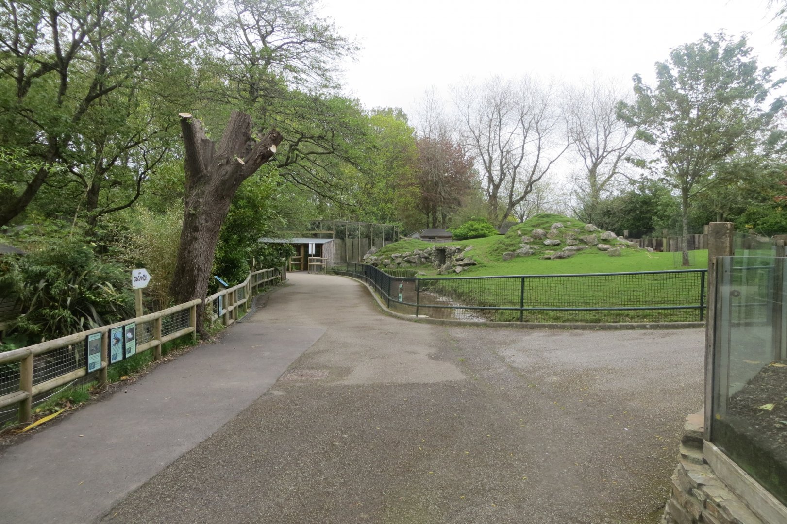 View across zoo 290419