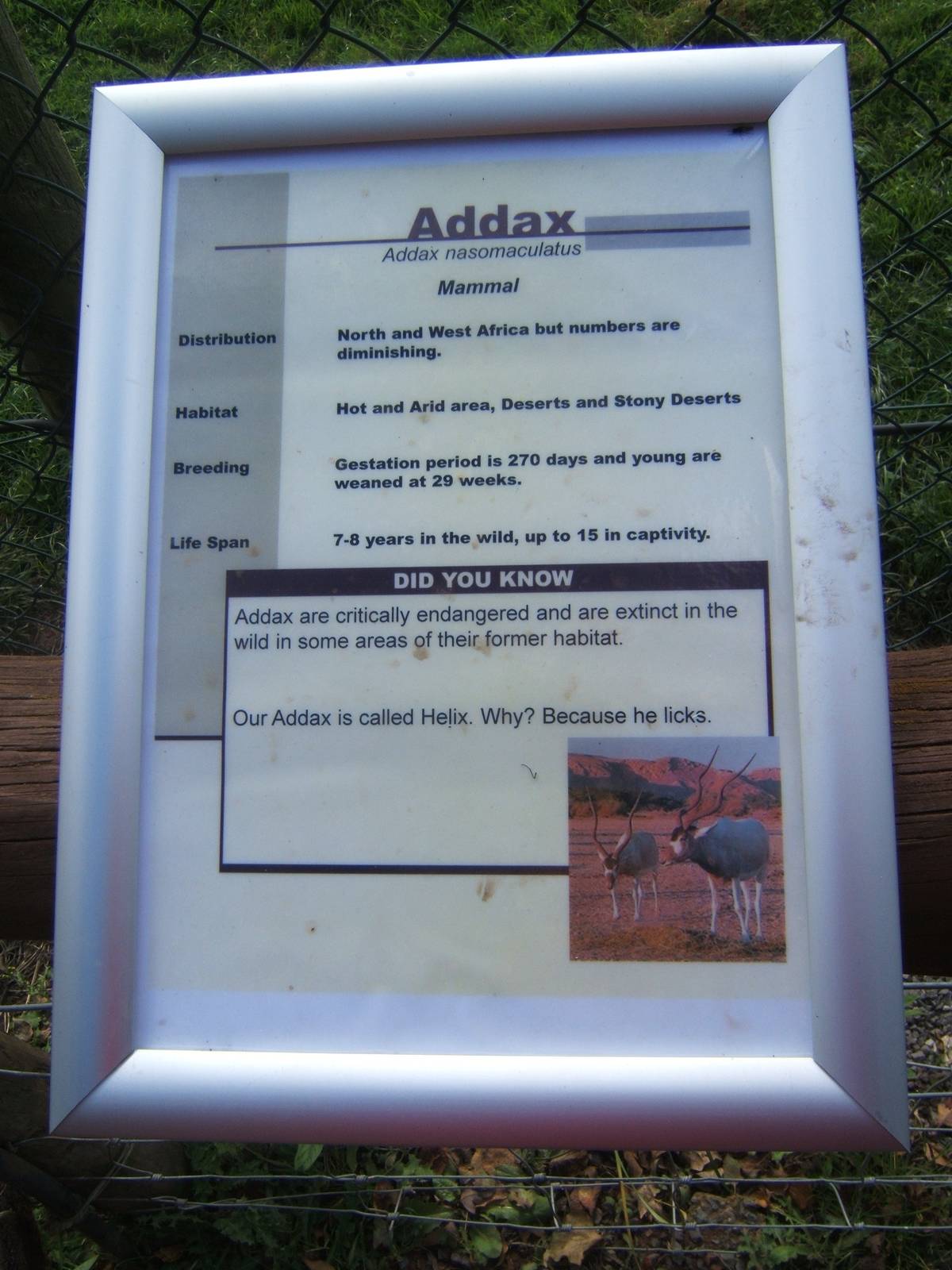 View Addax signage