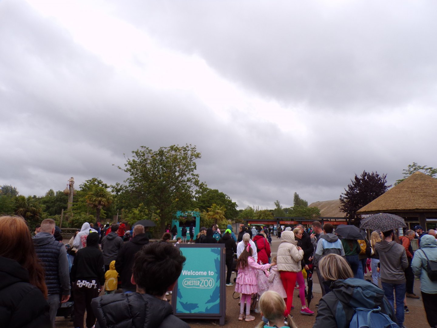 View after coming into zoo 29.6.24