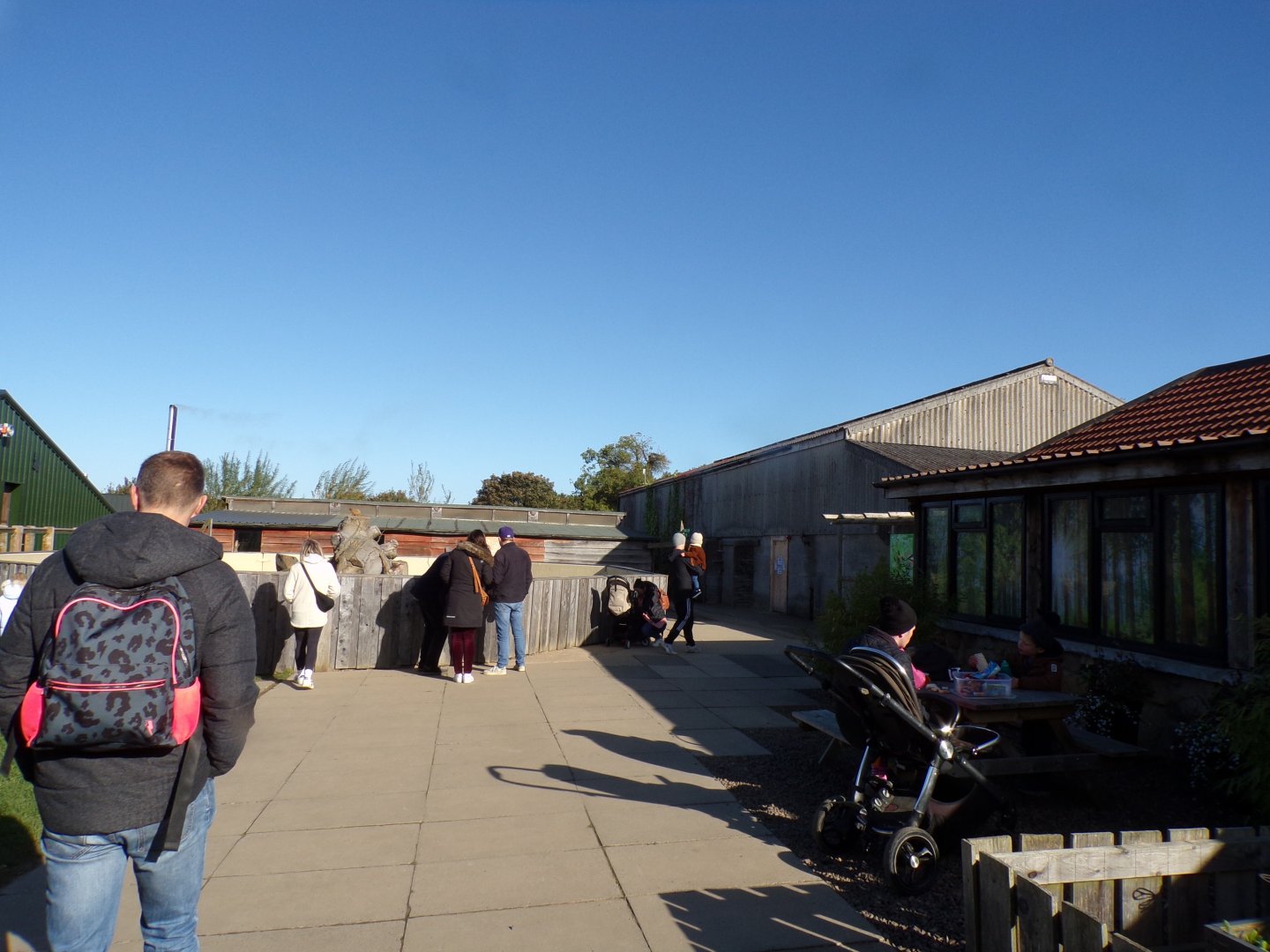 View after immediately entering the zoo 14.10.23