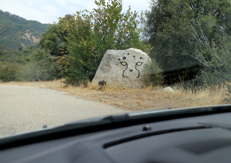 view along entrance drive