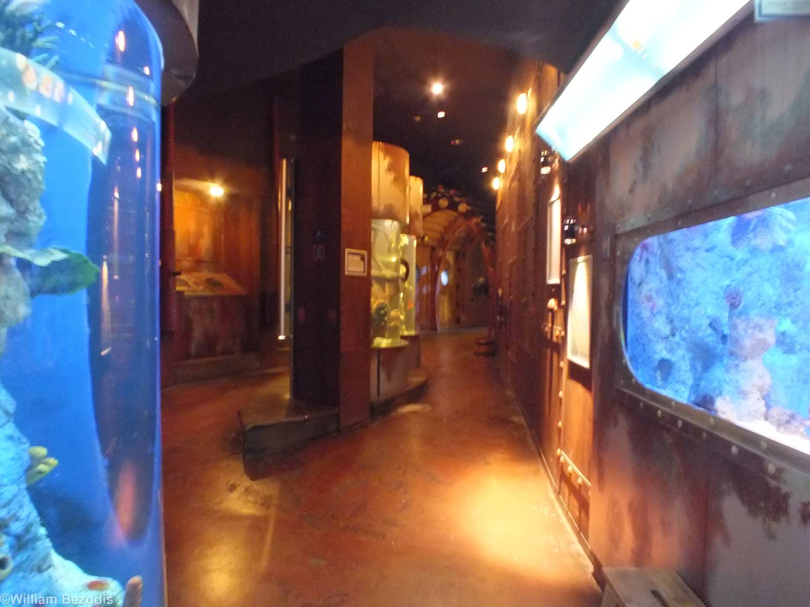 View Along Pathway - Submarine Section