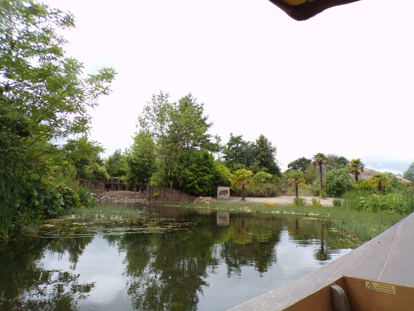 View along the riverboat 29.6.24