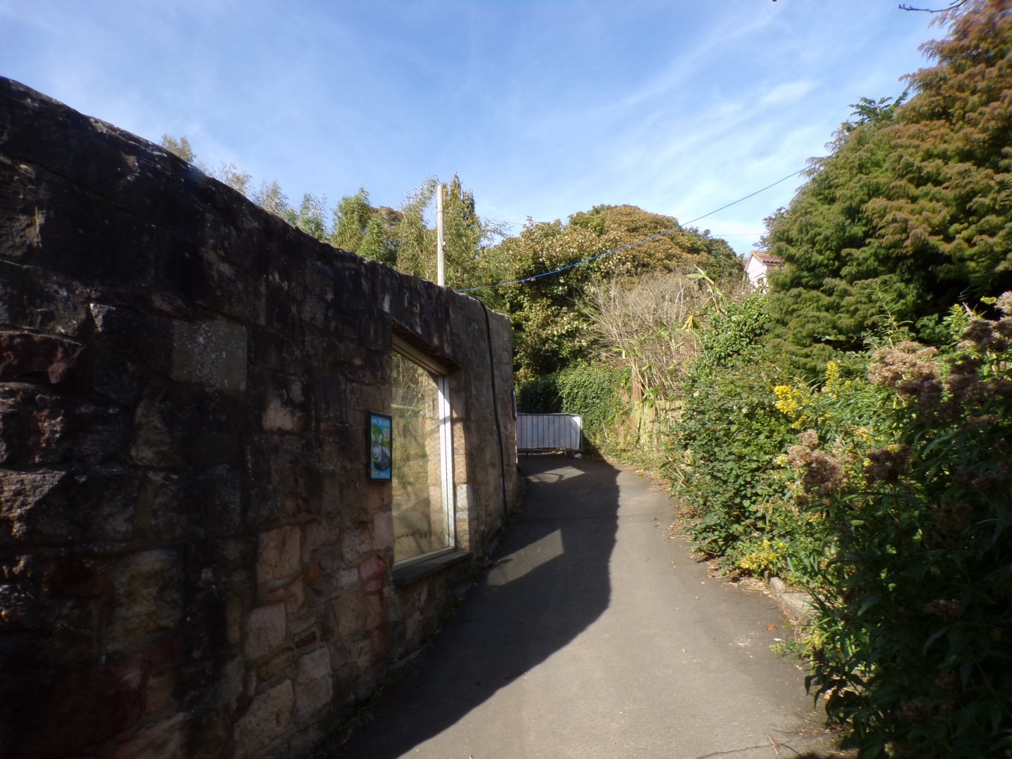 View alongside future pallas cat enclosure 16.9.24