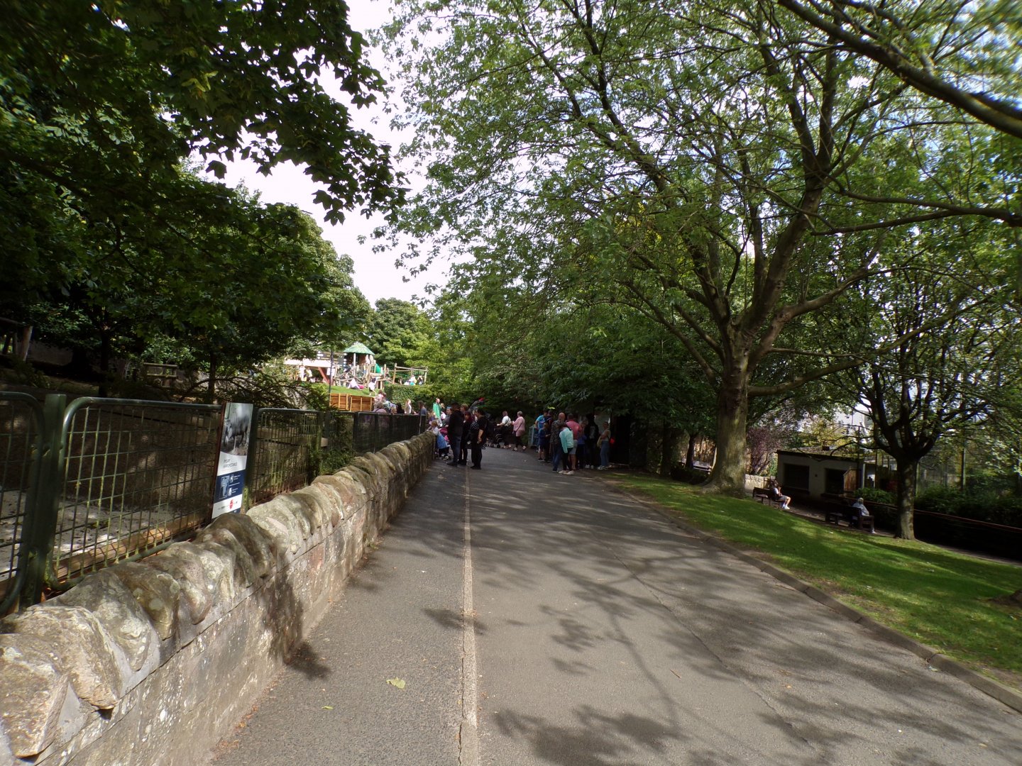 View alongside pygmy hippo enclosure 14.8.23