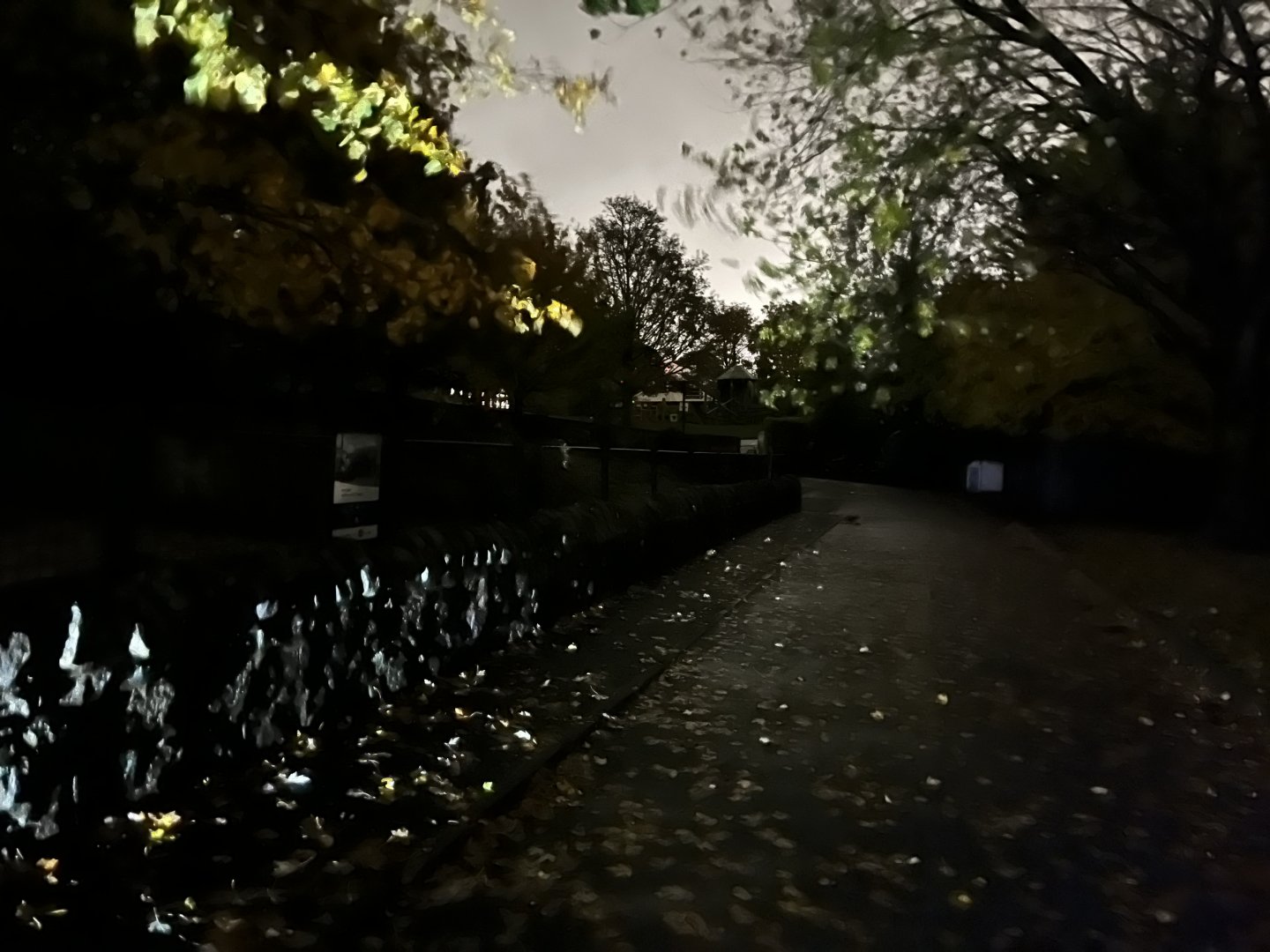 View alongside pygmy hippo enclosure at night 29.10.23