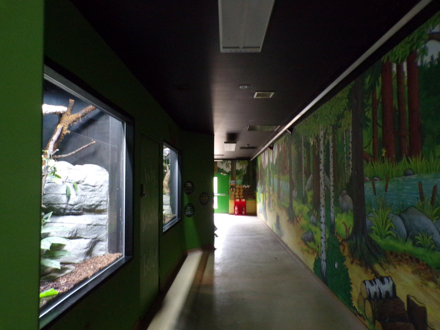 View alongside reptile enclosures in Gruffalo area 7.7.24