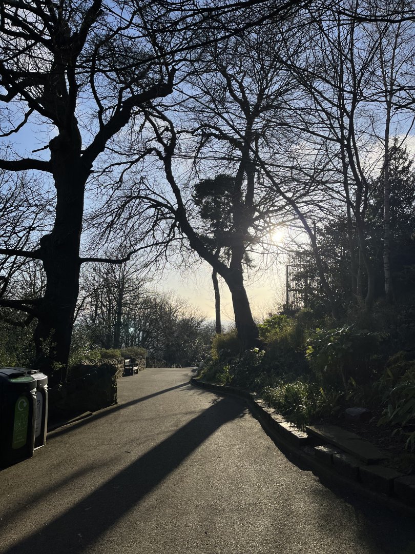 View alongside the tiger enclosure 1.3.25