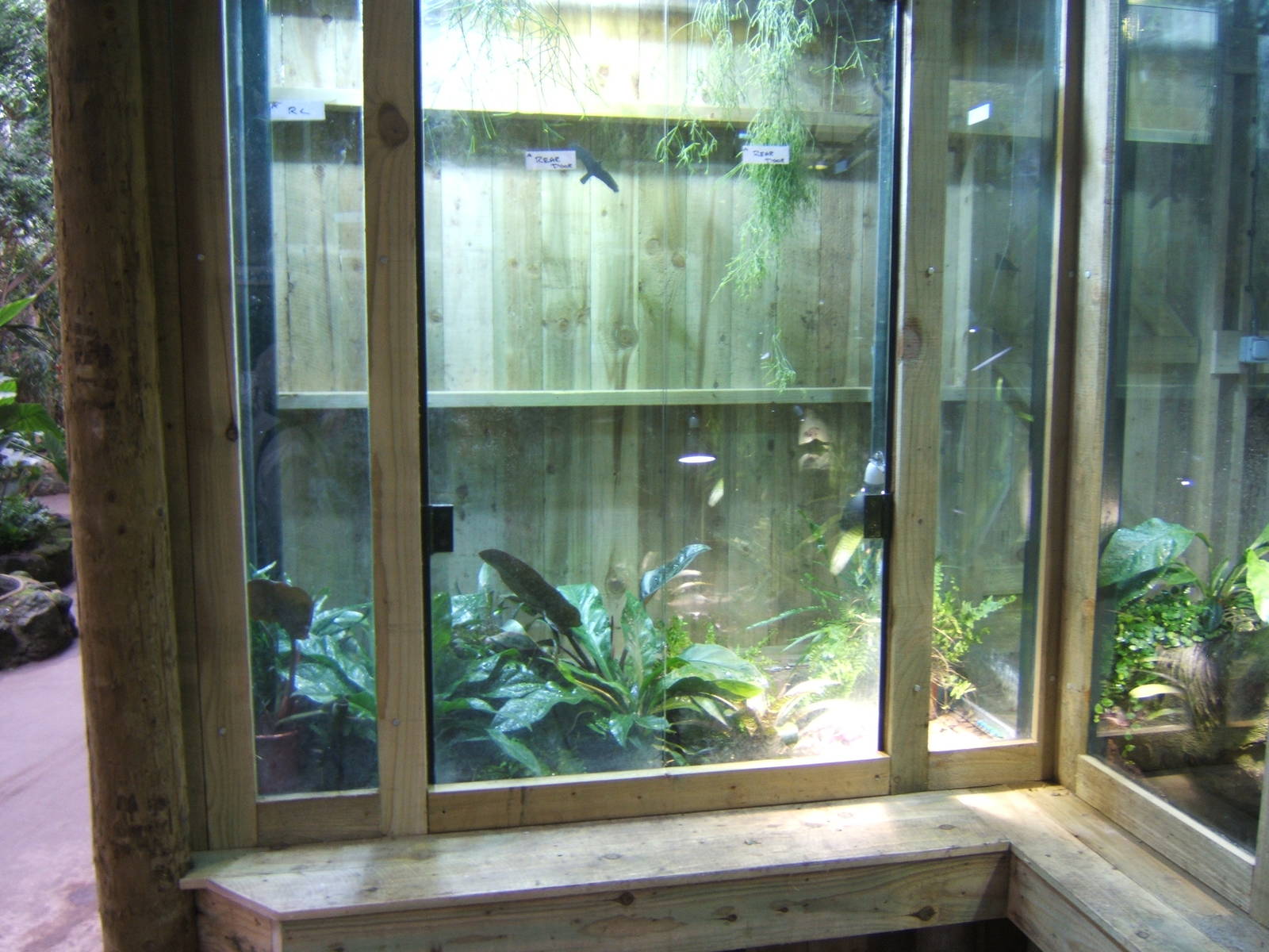 View Amphibian exhibit under-construction