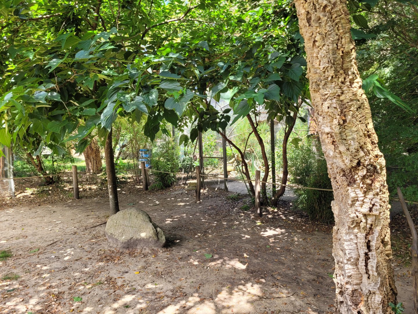 View around aviaries -Zoo de Labenne (2024)