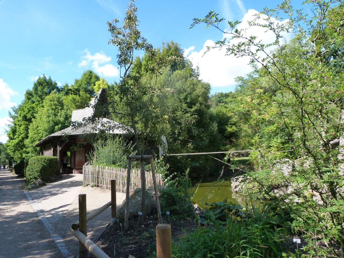 View around lion-tailed macaque exhibit -Zoo Plzeň (2025)