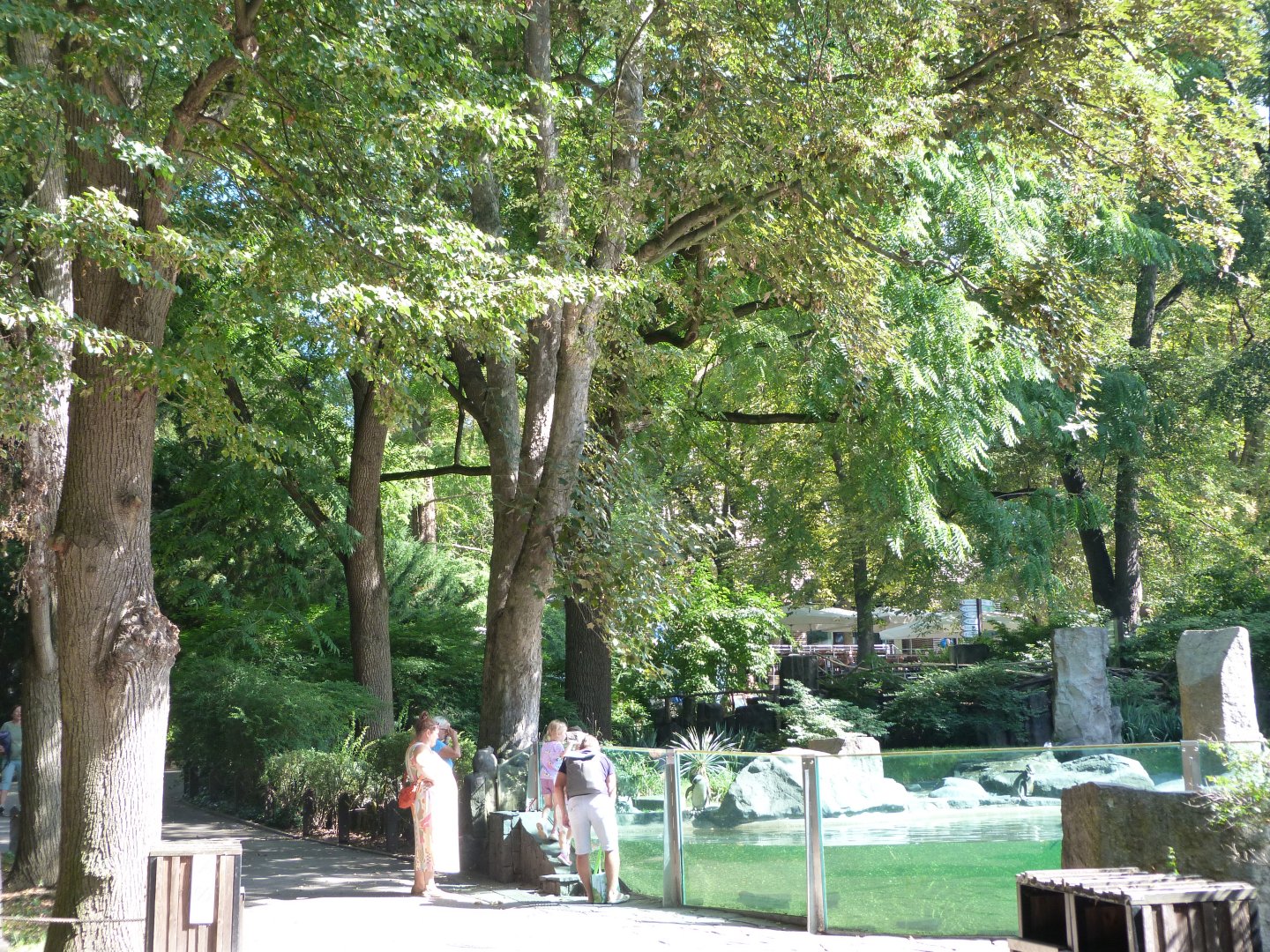 View around penguin exhibit -Zoo Praha (2025)