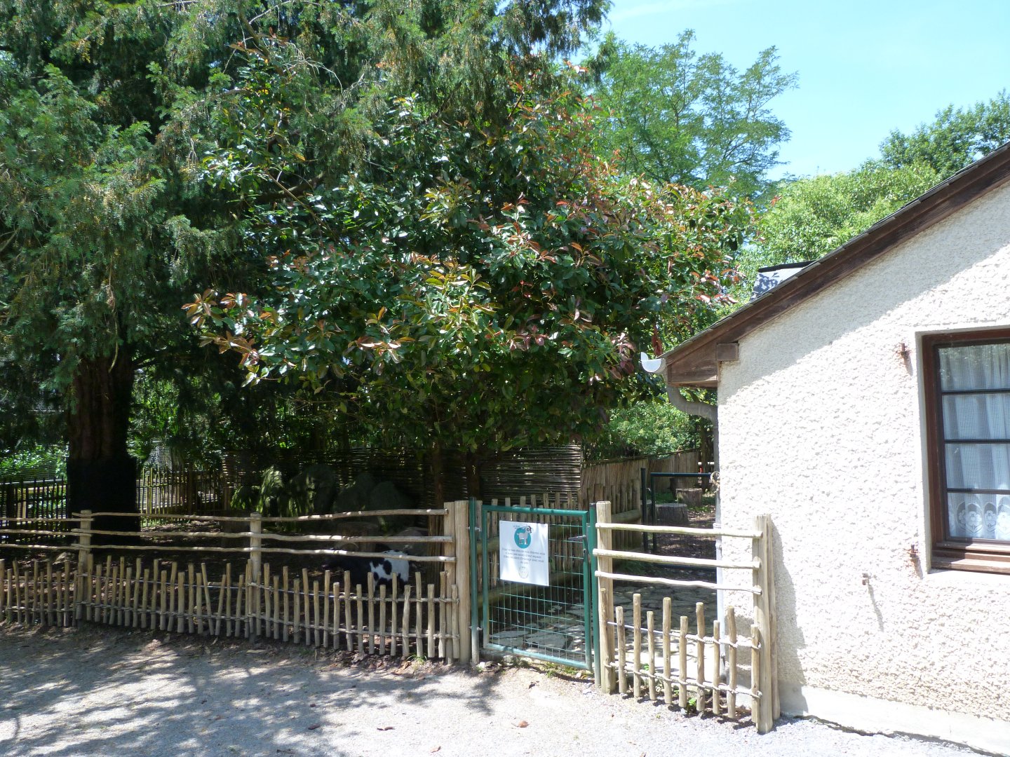 View around pygmy goat exhibit -Zoo d'Asson (2025)