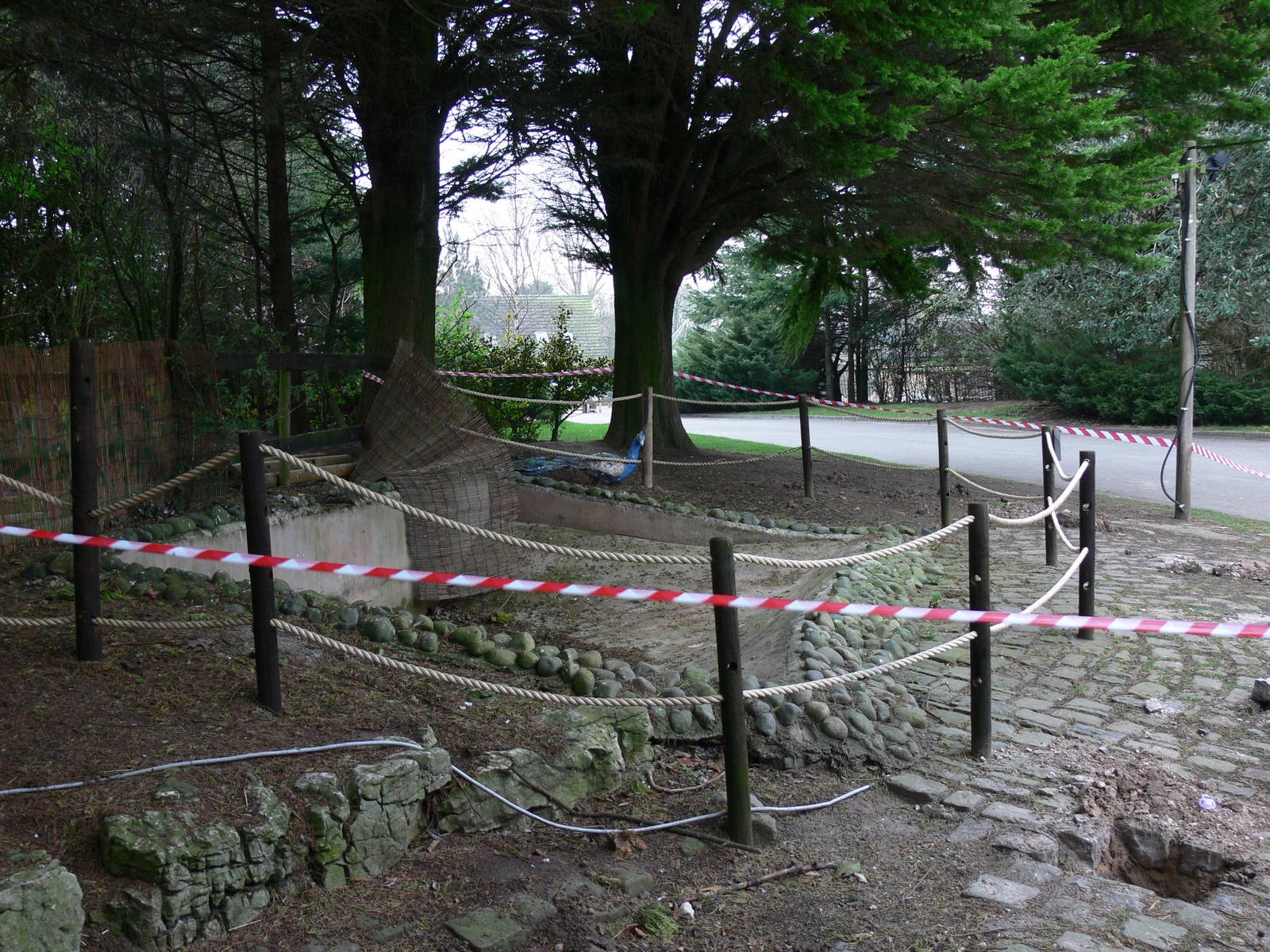 View at Blackpool Zoo, 30/03/14