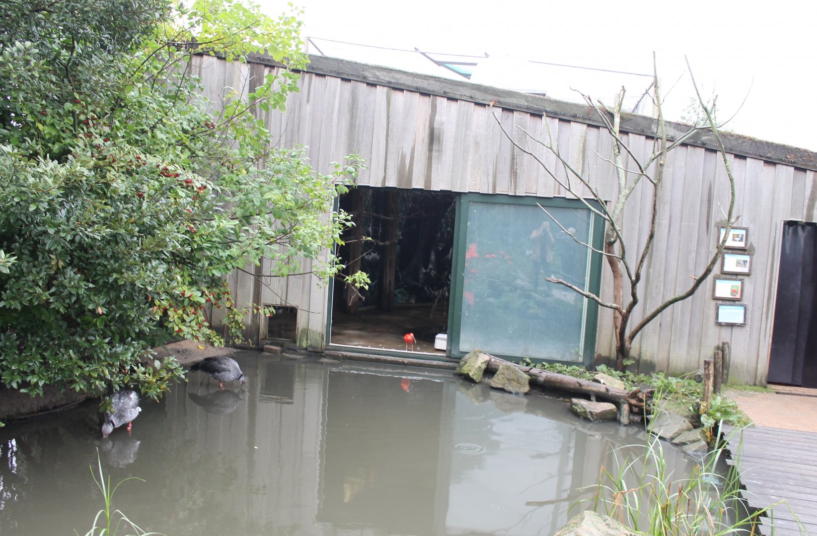 View at indoor-enclosure
