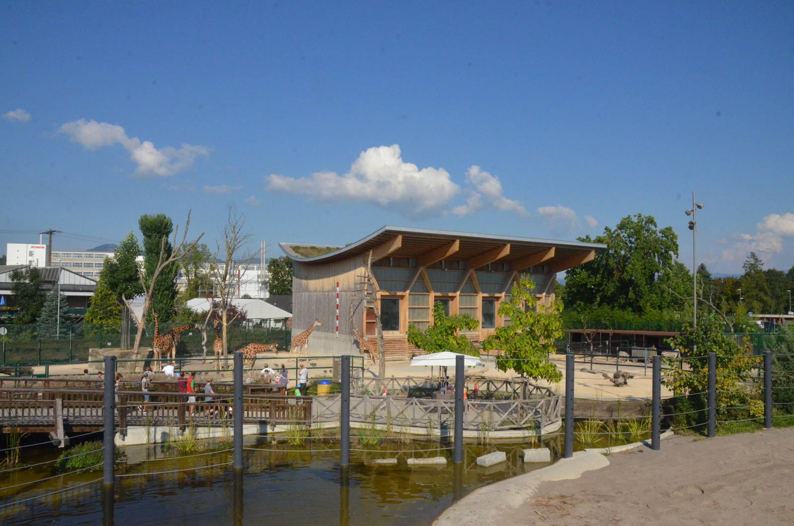 View at Knie Kinderzoo, 11/09/16