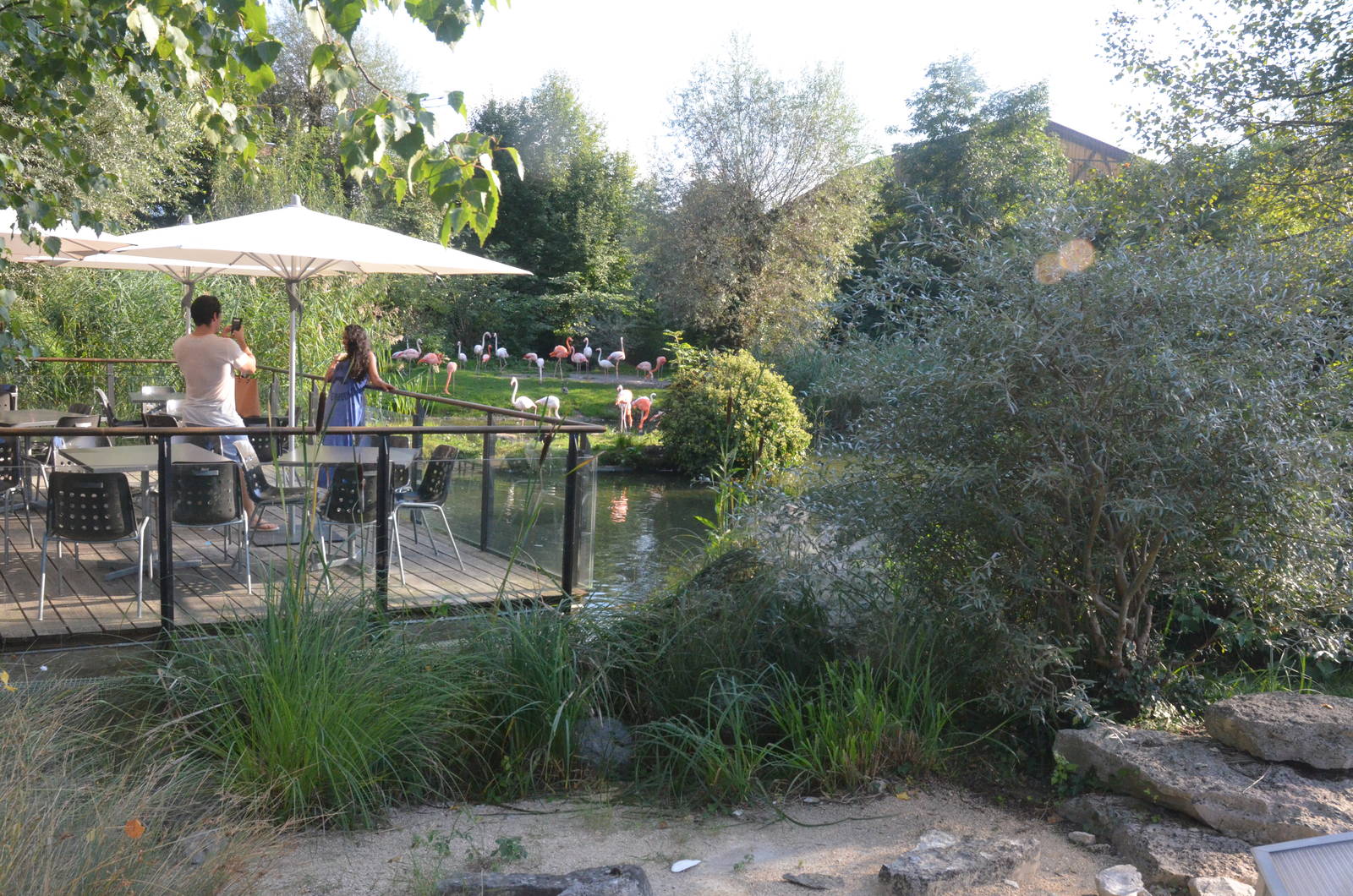 View at Knie Kinderzoo, 11/09/16