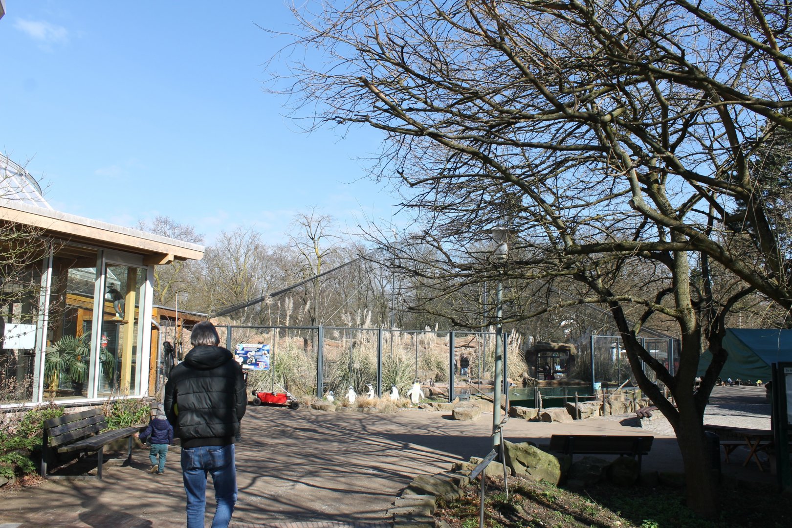 View at Penguin-walk-through